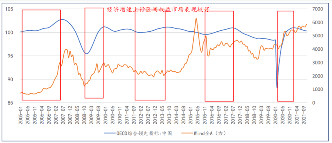 桔梗价格行情大揭秘，历史价格走势、市场价值深度探寻