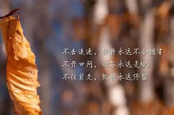 成长之路，励志语录激励你我前行